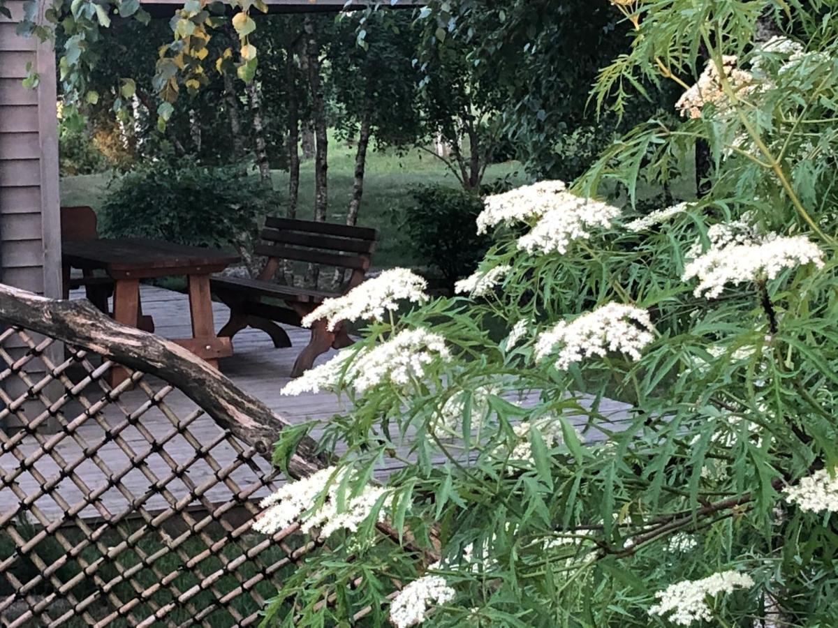 Japoniskas Sodas Medomiskiai Esterno foto
